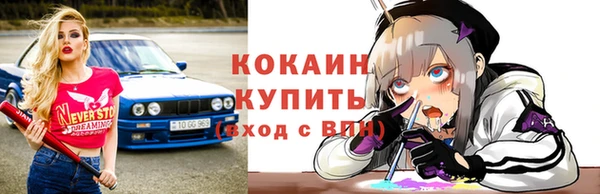 гашик Белокуриха
