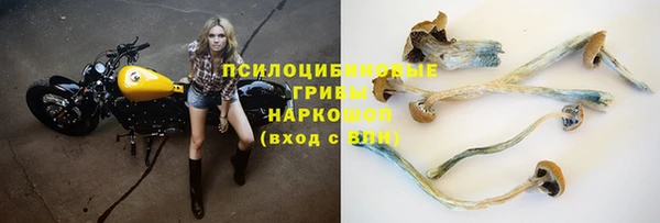 бошки Баксан