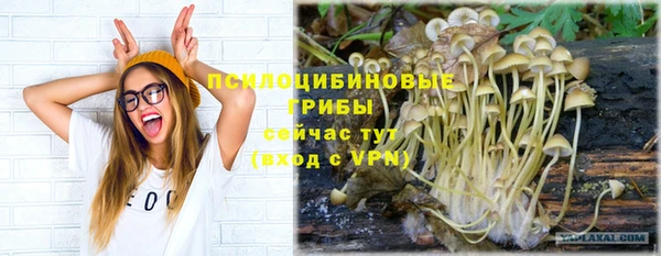 а пвп мука Белоозёрский