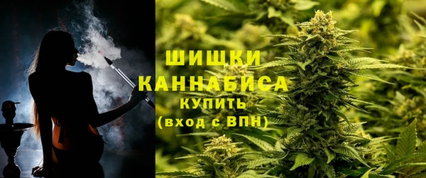 гашик Белокуриха
