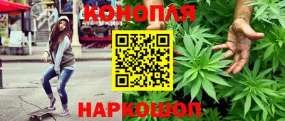 сатива Донецк