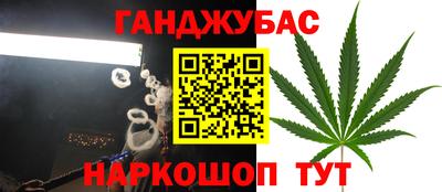 гашик Дубна