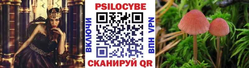 что такое наркотик  Кувандык  ОМГ ОМГ рабочий сайт  Галлюциногенные грибы MAGIC MUSHROOMS 