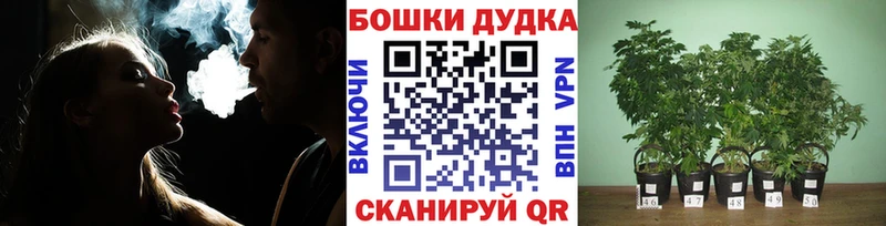 наркошоп  blacksprut ТОР  Конопля Bruce Banner  Кувандык 