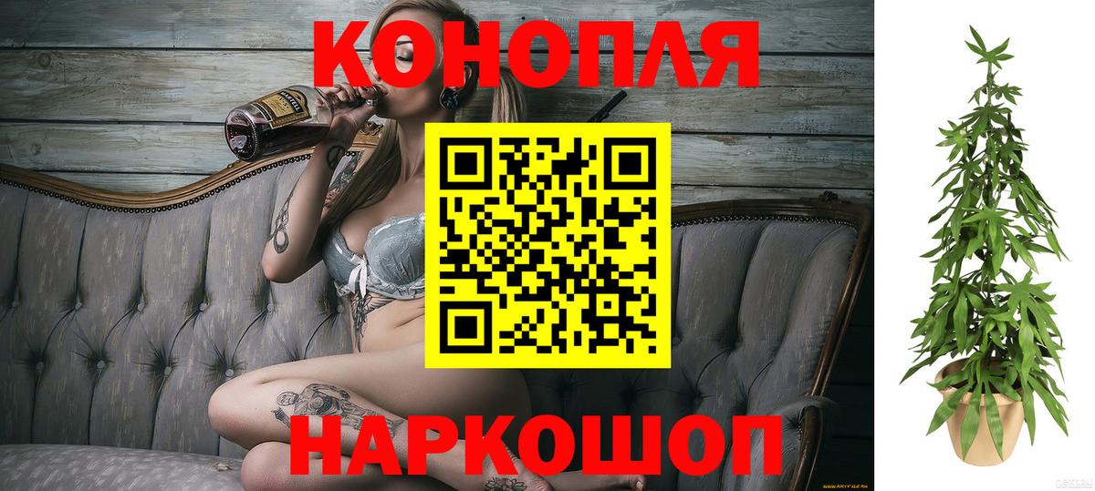 Бошки Шишки тримм  Конопля план  Кувандык  Конопля OG Kush  Марихуана VHQ  Вход с VPN 